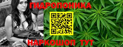a pvp Канаш
