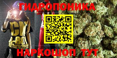 a pvp Канаш